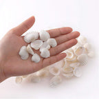 SINKOO Bulk Natural White Small Seashell Clam Super Shells Assortment for DIY Craft Beach Decor
