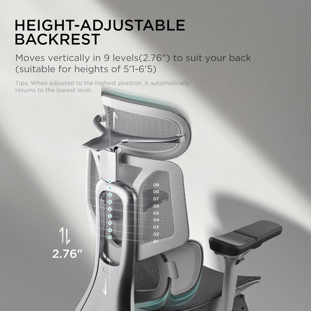 Hbada E3 Pro Ergonomic Office Chair, Big and Tall Office Chair - with 3-Zone Dynamic Lumbar Support, 4D Adjustable Headrest, 6D Adjustable Armrests, Grey