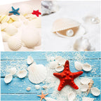 Jangostor 48 PCS Scallop Shells Natural Seashell, 1.5" to 2" White Scallop Shells Small Seashells for Crafts Wedding Decor Beach Theme Party, Fish Tank and Vase Filler