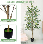Caxchiling Faux Eucalyptus Tree 6FT, Artificial Potted Tree for Indoor Outdoor, Fake Floor Plants with Natural Wood Trunk, Home Office Living Room Bedroom Decor