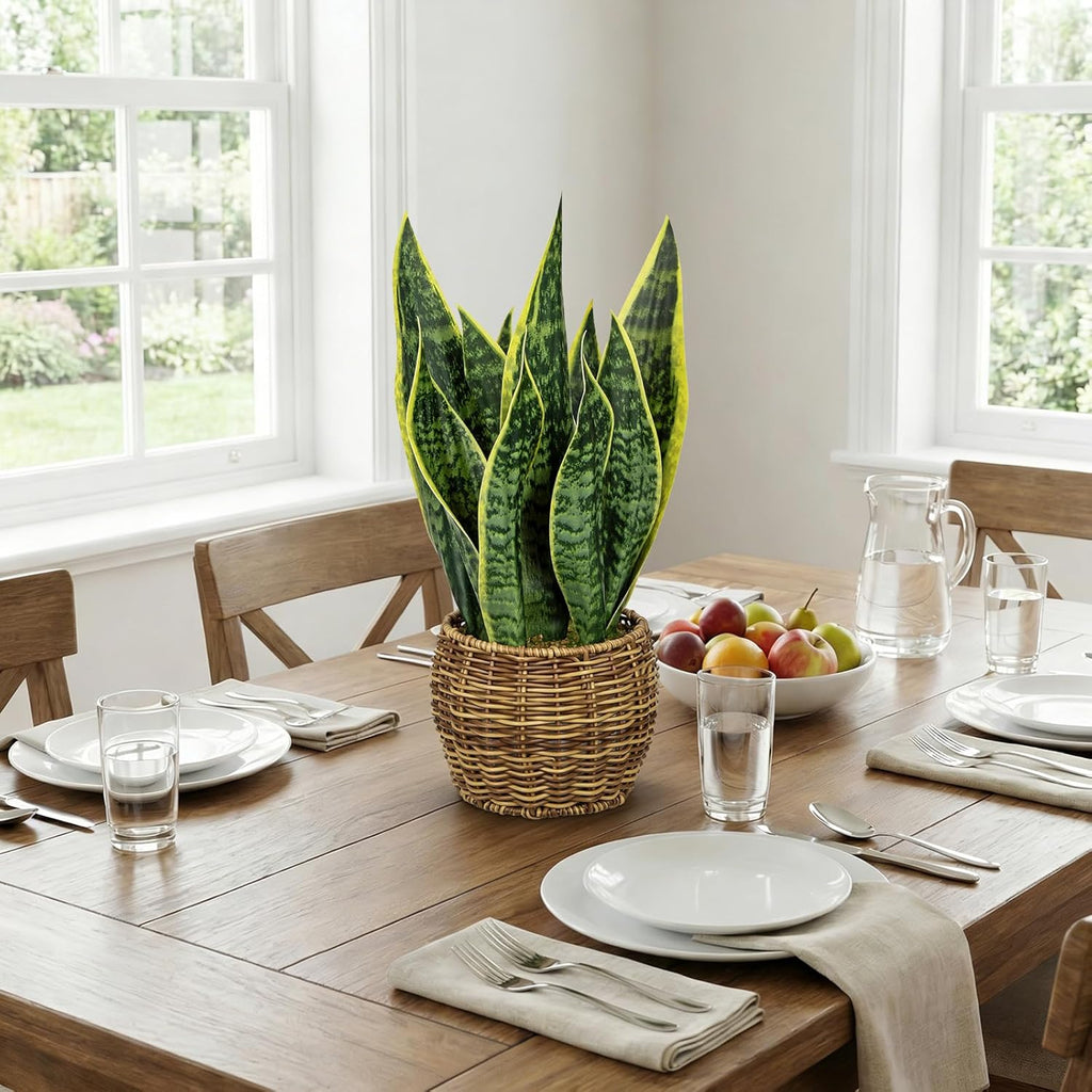 Hollyone Artificial Snake Plant in Woven Basket 17" Faux Sansevieria Trifasciata Plants Large Fake Snake Plants Potted for Home Office Room Farmhouse Indoor Decor Housewarming Gifts