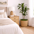 Nearly Natural 48in Artificial Dracaena with Real Touch Leaves and Multi Tonal Trunks, Large Indoor Silk Plant with Pot, Maintenance Free For Living Room And Home Office Decor
