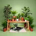 Plant Repotting Mat for Plants, Gardening Hand Tools for Gardeners, Oxford Printed Cloth, 29.5x29.5in(75x75cm)