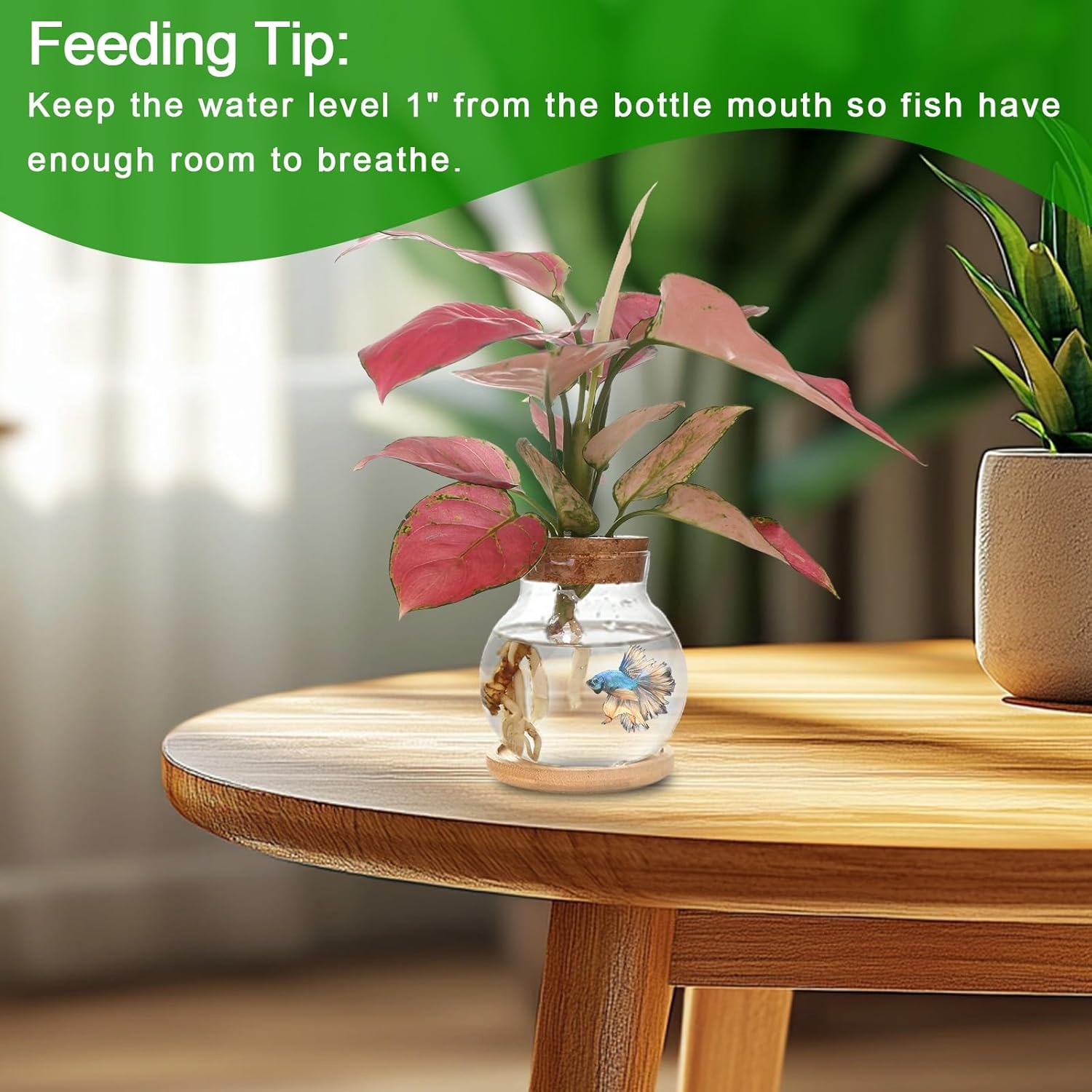 Plant Propagation Station,Hydroponic Glass Container Vase Jars, with Wooden Saucer for Desks, Houses, Garden Decorations, Home Kitchen Decorations and Gifts for Plant Lovers (2)