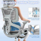 Ergonomic Mesh Office Chair with Footrest, High Back Desk Chair with 4D Armrests, 3-Zone Dynamic Lumbar Support, Ergonomic Office Chair with Wheels (Silver Gray)