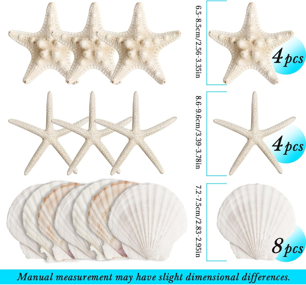 16 Pieces Starfish and Scallop Shells for Crafts 2.6"-3.8" Large Seashells Natural Sea Shells for Crafts Christmas Decor Beach Party Wedding Fishtank