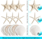 16 Pieces Starfish and Scallop Shells for Crafts 2.6"-3.8" Large Seashells Natural Sea Shells for Crafts Christmas Decor Beach Party Wedding Fishtank