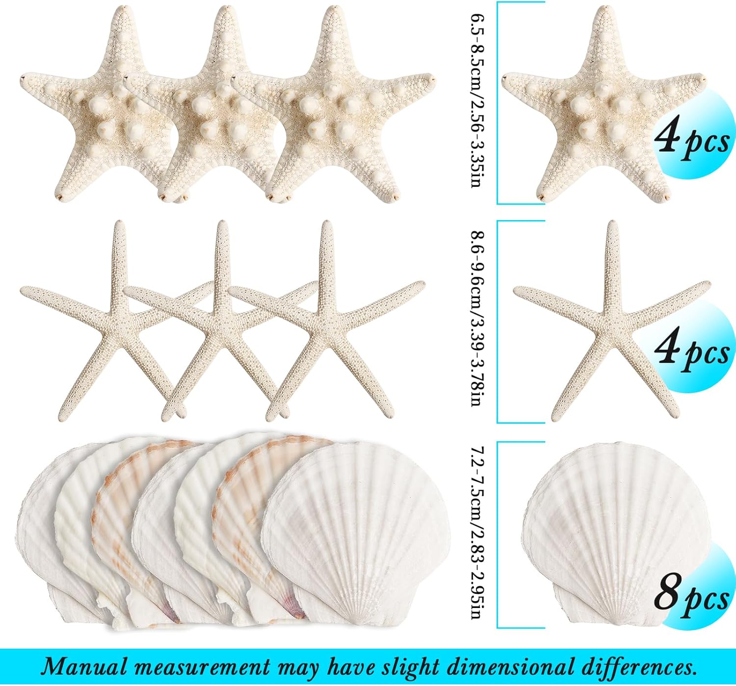 16 Pieces Starfish and Scallop Shells for Crafts 2.6"-3.8" Large Seashells Natural Sea Shells for Crafts Christmas Decor Beach Party Wedding Fishtank