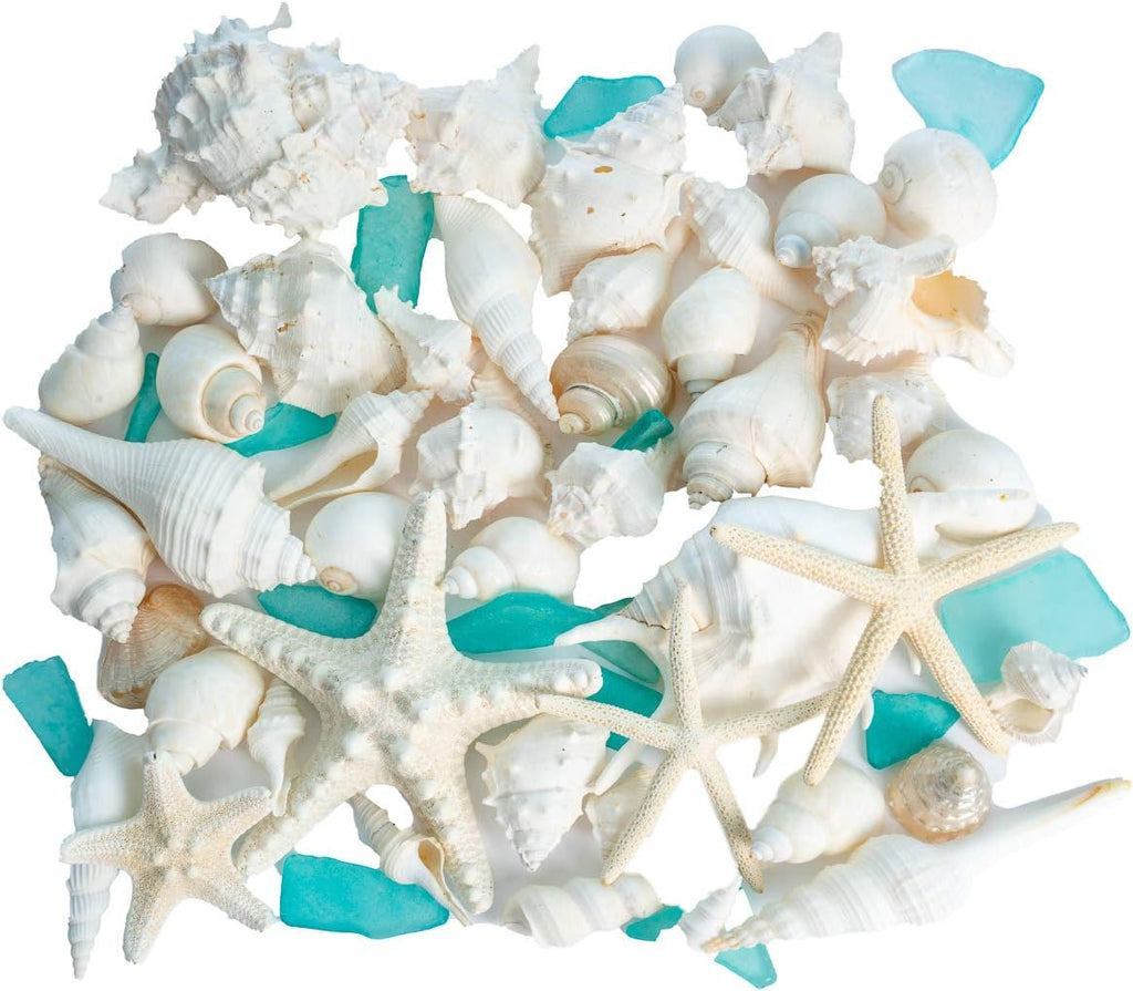 Nautical Crush Trading Sea Shells - White Real Mixed Beach Seashells (1lb) with Starfish & Sea Glass - Shells for Crafts - Ocean Decor - Beach Party Decorations - Seashell Decor - Large Shells Crafts