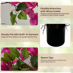 3FT Artificial Bougainvillea Tree – Realistic Faux Bougainvillea Tree with Pink Silk Flowers, Lifelike Artificial Flowering Plant in Pot for Indoor Outdoor Home, Living Room, Porch, Patio Decor