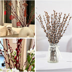 Natural Preserved Dried PussyWillow Branches for Vases, 20 Stems Real Willows, 17” Snow Pussywillows, Dried Flowers for Indoor Decor, Wedding Home DIY Floral Art Plants Fireplace, Brown
