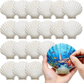 Large Seashells for Crafts 20 PCS, 4–5 Inch Scallop Shells Natural White for DIY Painting, Beach Decor, Wedding Party Supplies, Home Decor
