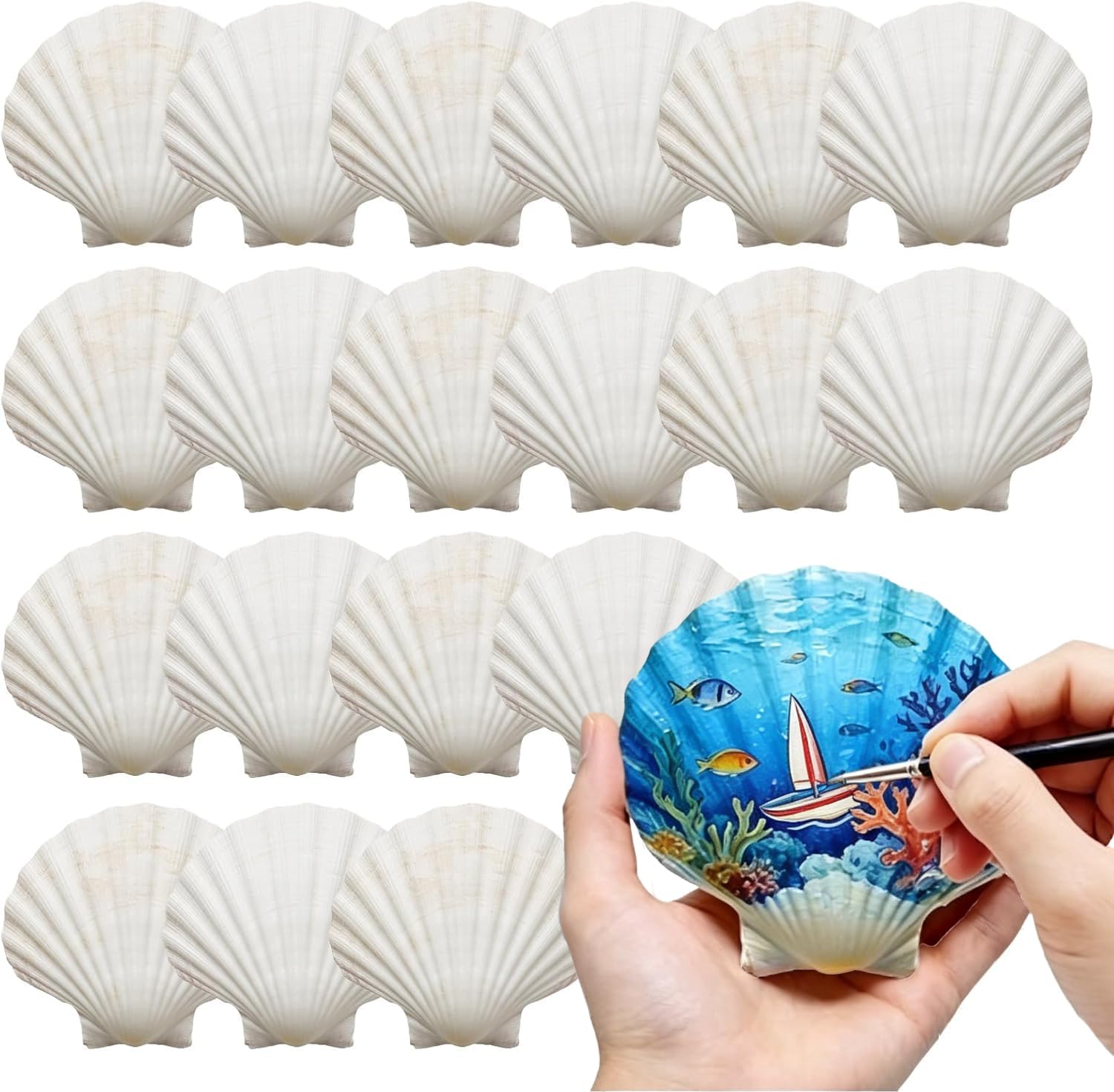 Large Seashells for Crafts 20 PCS, 4–5 Inch Scallop Shells Natural White for DIY Painting, Beach Decor, Wedding Party Supplies, Home Decor