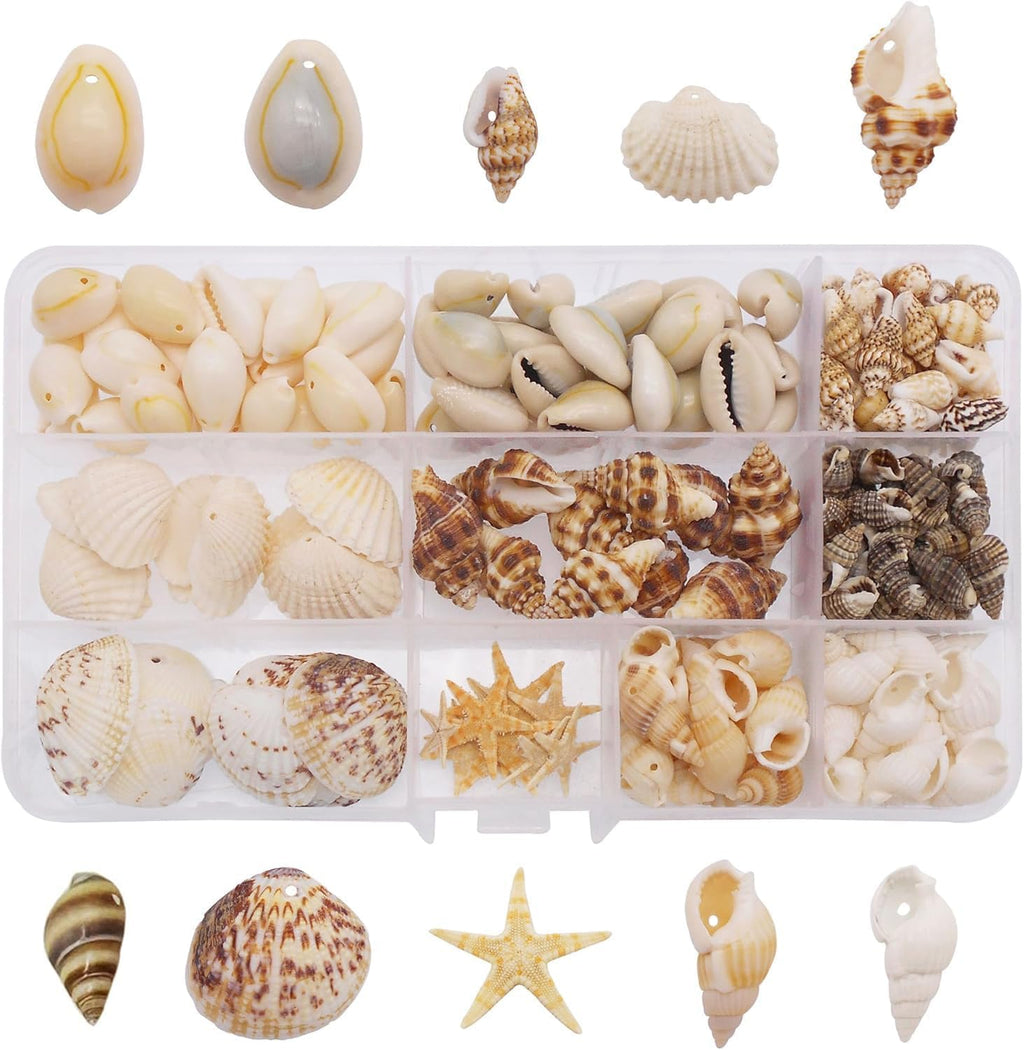 yaokan 10 Styles Natural Sea Shells & Starfish Set - Assorted Pre-Drilled Beach Seashells for DIY Crafts, Home Decor, Jewelry Making & Wedding Party Decorations