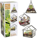 D'Eco Glass Mini Geometric Plant Terrariums 3 Pack - Triangle, House & Prism Planters for Spring Home Decor - Fill with Succulents, Cacti, Air Plants, Moss, Flowers for Plant Lovers