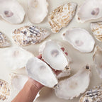 15Pcs Oyster Shells for Crafts, 4-5 Inch Natural Oyster Shells Bulk, Large Sea Shell for Crafting and DIY Painting, Beach Themes and Wedding Decor, Home Vase Fillers, and Xmas Ornaments