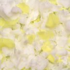 Jaxx Premium Grade Shredded Foam Filling - Refill for Pillows, Bean Bag Chairs, Dog Beds, and Cushions, 15 LB