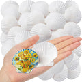 SINKOO 25 PCS Small Scallop Shells 2"-3" White Natural Seashell for DIY Craft Mermaid Beach Wedding Home Decoration