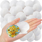 SINKOO 25 PCS Small Scallop Shells 2"-3" White Natural Seashell for DIY Craft Mermaid Beach Wedding Home Decoration