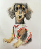 Custom Pet Portrait 100% Hand-Drawn charcoal Sketch from Photo,Pencil Drawing,Border cogg Pastel Personalized Dog or Cat Drawing,Unique Gift for Pet Lovers (8X10in Sketch 1)