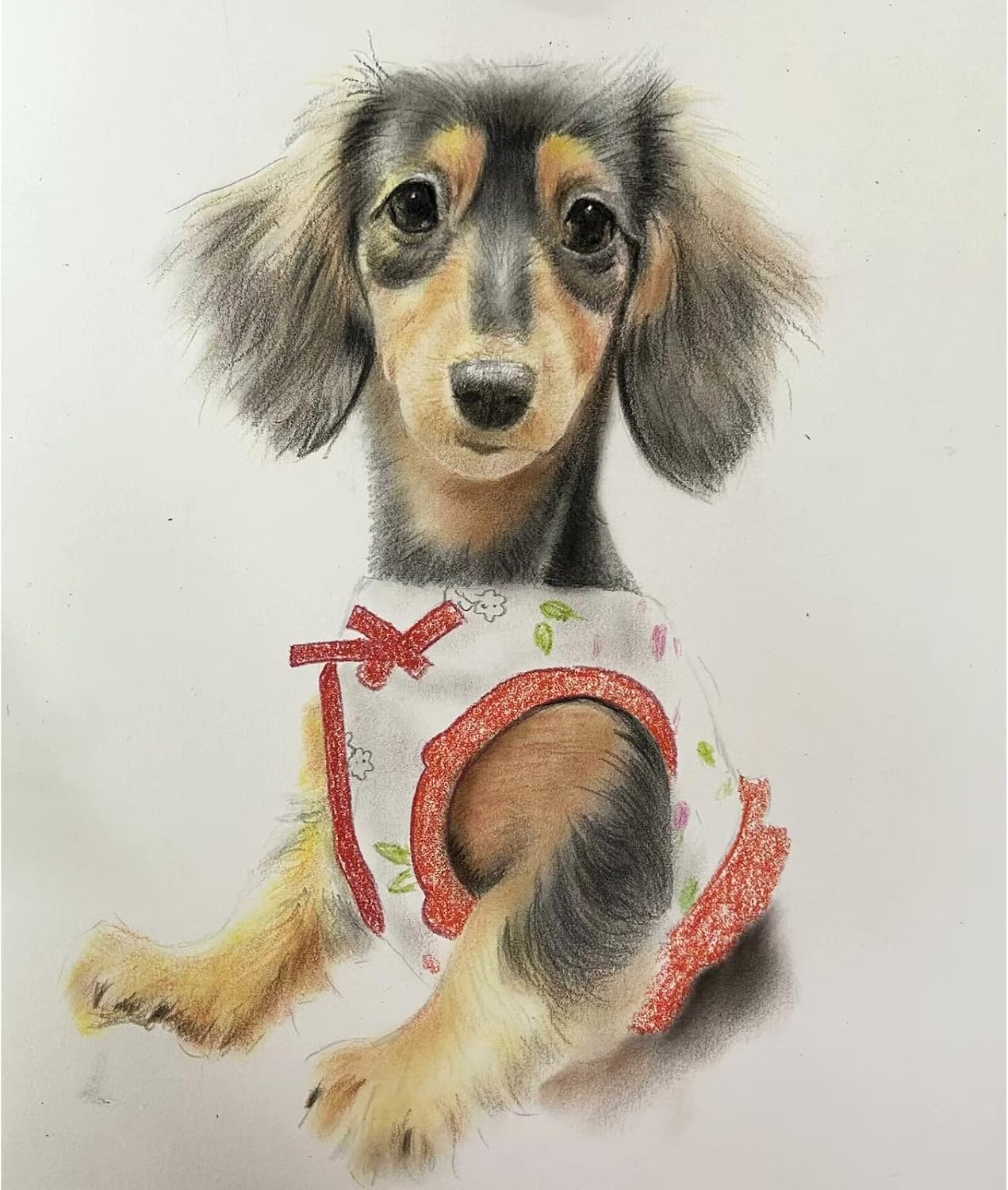Custom Pet Portrait 100% Hand-Drawn charcoal Sketch from Photo,Pencil Drawing,Border cogg Pastel Personalized Dog or Cat Drawing,Unique Gift for Pet Lovers (8X10in Sketch 1)