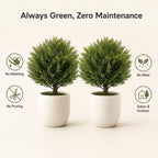 Artificial Outdoor Plants Topiary Cedar Trees 2 Pack Faux Trees Potted Bushes Shrubs UV Resistant - Realistic Artificial Plants Outdoor Dense Greenery Ball Tree for Front Porch Patio Garden