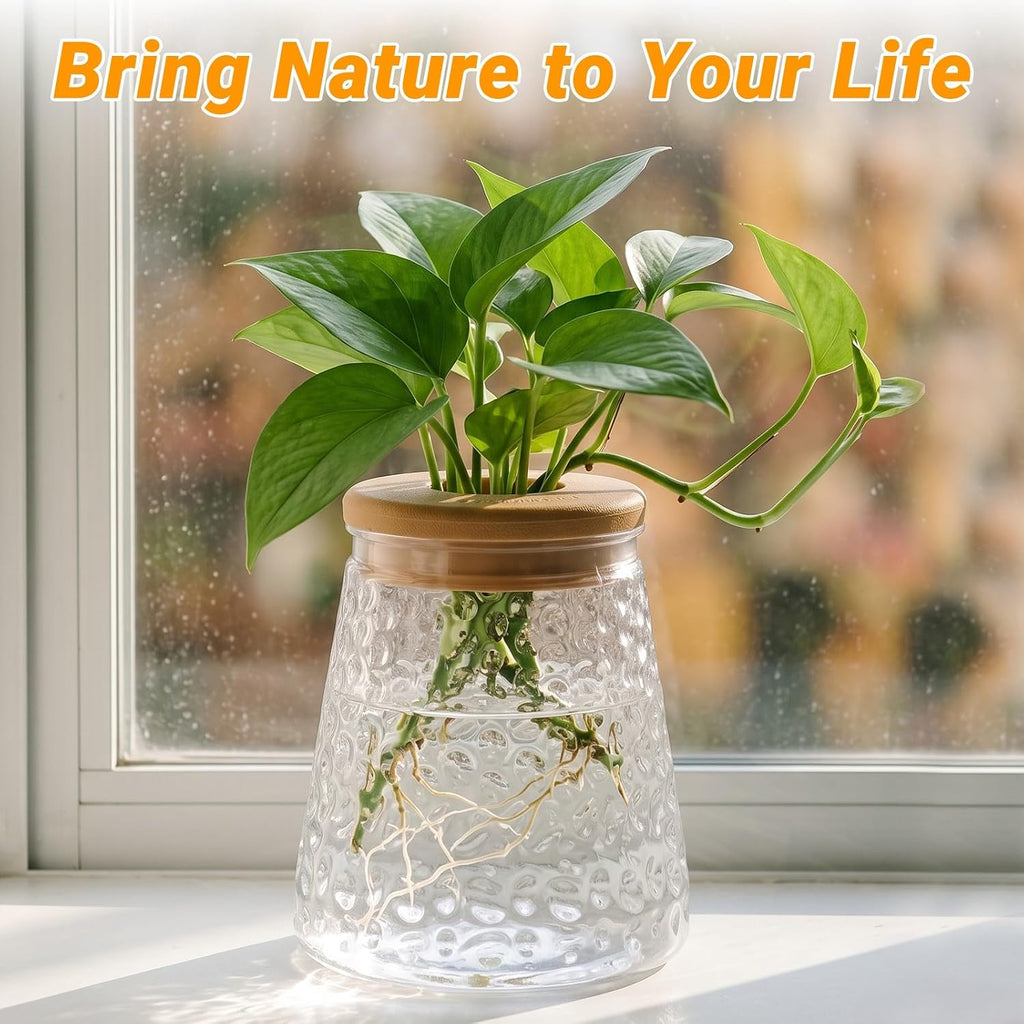 Plants Propagation Stations, Desktop Propagation Vase for Living Room, Bedroom, Wedding, Best Gifts for Plant Lovers, Clear