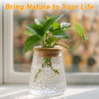 Plants Propagation Stations, Desktop Propagation Vase for Living Room, Bedroom, Wedding, Best Gifts for Plant Lovers, Clear