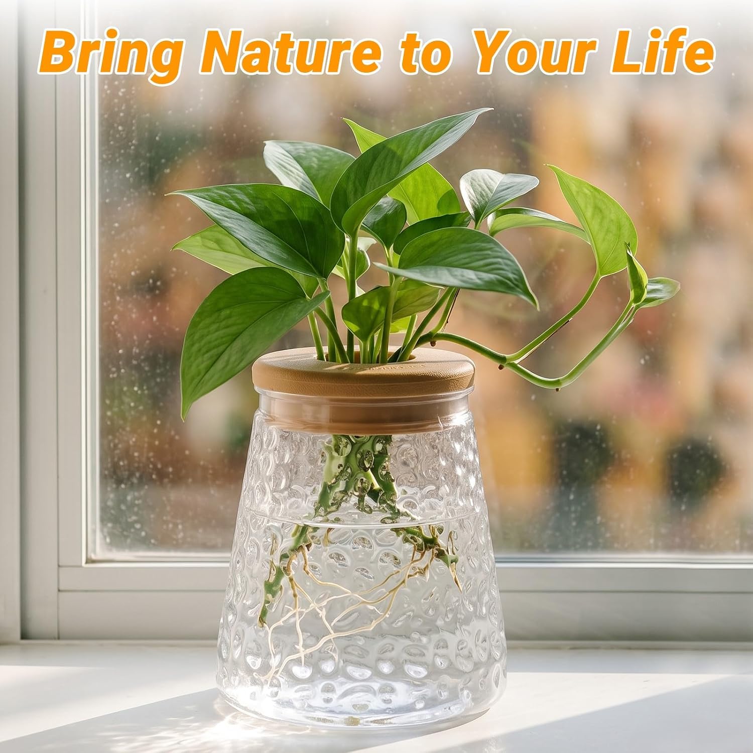Plants Propagation Stations, Desktop Propagation Vase for Living Room, Bedroom, Wedding, Best Gifts for Plant Lovers, Clear