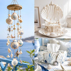 20Pcs 4-5 Inch Large Scallop Shells for Crafts, Natural White Scallop Shells for Baking, Painting, DIY Crafts, Decoupage, Beach Wedding Decor, Large Seashells Bulk for Home