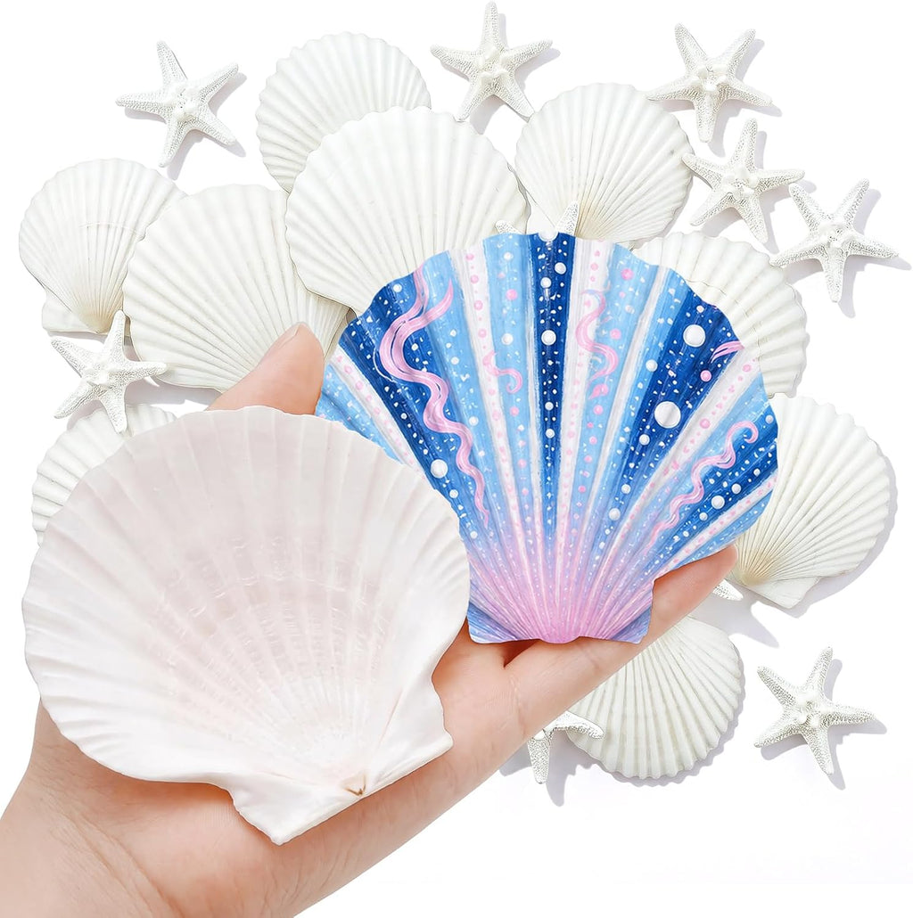 Junkin 40 Pack Natural Scallop Shells and Artificial Starfish for Crafts Sea Shells Decoration 20 Pcs 2.8"-4.3" Seashells & 20 Pcs 2.1" Starfish for DIY Painting Home Wedding Decor(Solid,White)