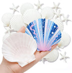 Junkin 40 Pack Natural Scallop Shells and Artificial Starfish for Crafts Sea Shells Decoration 20 Pcs 2.8"-4.3" Seashells & 20 Pcs 2.1" Starfish for DIY Painting Home Wedding Decor(Solid,White)