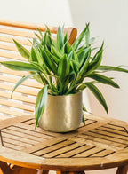 Serene Spaces Living Antique Brass Look Gold Hammered Pots, Indoor Planter, Decorative Accent for Potted Plants, Gold Flower Vase for Wedding or Event Centerpiece, Extra Small, 5" Diameter & 4" Tall