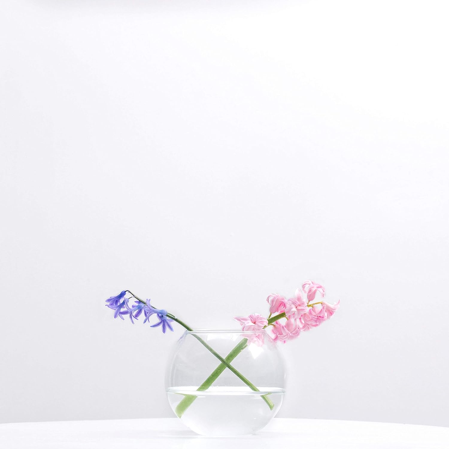 WGV Bowl Glass Vase, Diameter 6", Height 4.5", Open Width 4", (Multiple Sizes Choices) Clear Bubble Planter Terrarium Fish Bowl for Wedding Event Home Decor, 1 Piece (VBW0006A)