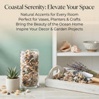 MAQIHAN Tiny Seashells for Crafts - Small Sea Shells Mixed Ocean Beach Shells Bulk for Home Decorations Wedding Decor Beach Theme Party Vase Filler (0.2-0.8 in, 314 Grams)