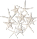 Nautical Crush Trading Starfish & Knobby Starfish Decor - (5) White Starfish 4-6" and (5) Knobby Starfish 2-3.5" - Beach Wedding Decor - Coastal Party Decorations - Seashell Decor