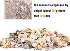 JQAQJU 1000 PCS Mini Sea Shells Small Starfish Mixed, 20 Kinds of Tiny Seashells Bulk for Crafting, Beach Natural Spiral Conch Shells for Crafts DIY Beach Theme Party Candle Decor Wedding Fish Tank