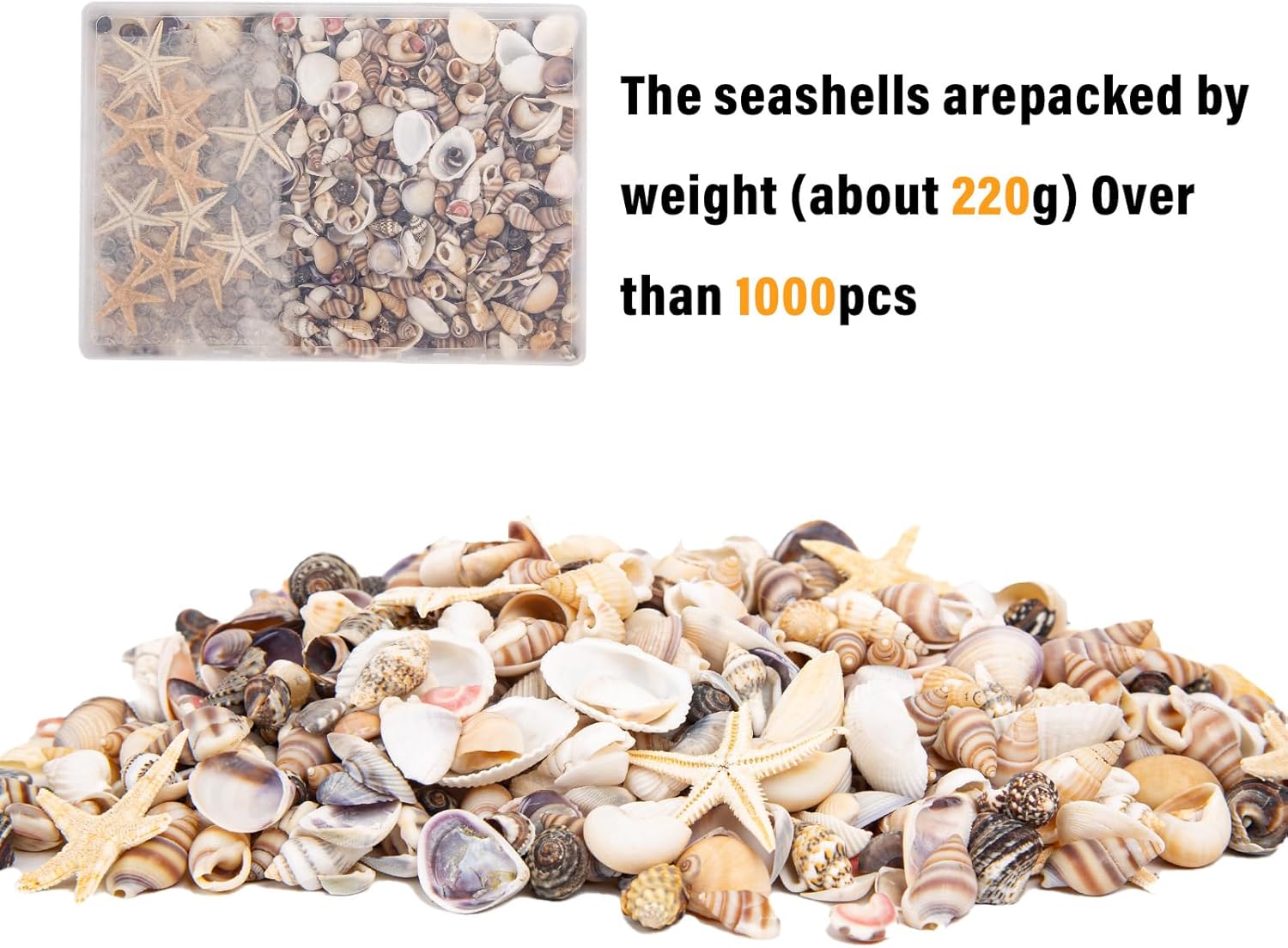 JQAQJU 1000 PCS Mini Sea Shells Small Starfish Mixed, 20 Kinds of Tiny Seashells Bulk for Crafting, Beach Natural Spiral Conch Shells for Crafts DIY Beach Theme Party Candle Decor Wedding Fish Tank
