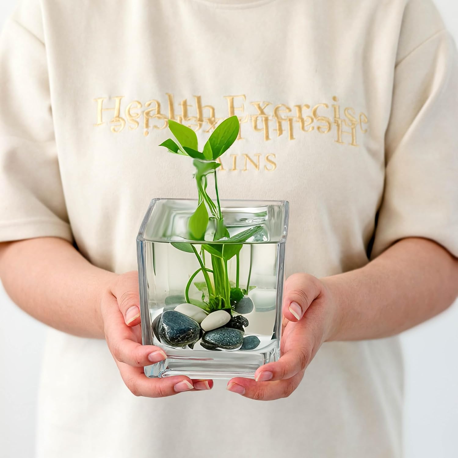 Set of 6 Square Glass Vases for Centerpieces – 5in x 5in x 5in Clear Short Flower Vase, Plant Terrariums, or Candle Holders for Wedding Centerpieces, Office Decor, Home Décor, Parties