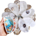 20Pcs Flat Oyster Shells 4-5 Inch, Large Natural Oyster Shells for Crafts, Vase Filler, Wedding Decor, DIY Christmas Ornaments, Decoupage, Painting, Sea Shells Bulk