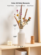 STHIE Beige Ceramic Vase, 8 Inch Rustic Farmhouse Minimalist Vases Home Decor, Small Pampas Grass Vases for Table Living Room (White)