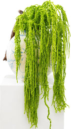 12 Pcs Neon Green Preserved Hanging Amaranthus Flowers - 23" Cascading Dried Flower Tassels for Wedding Arch, Floral Garland, Vase Arrangements & Home Decor