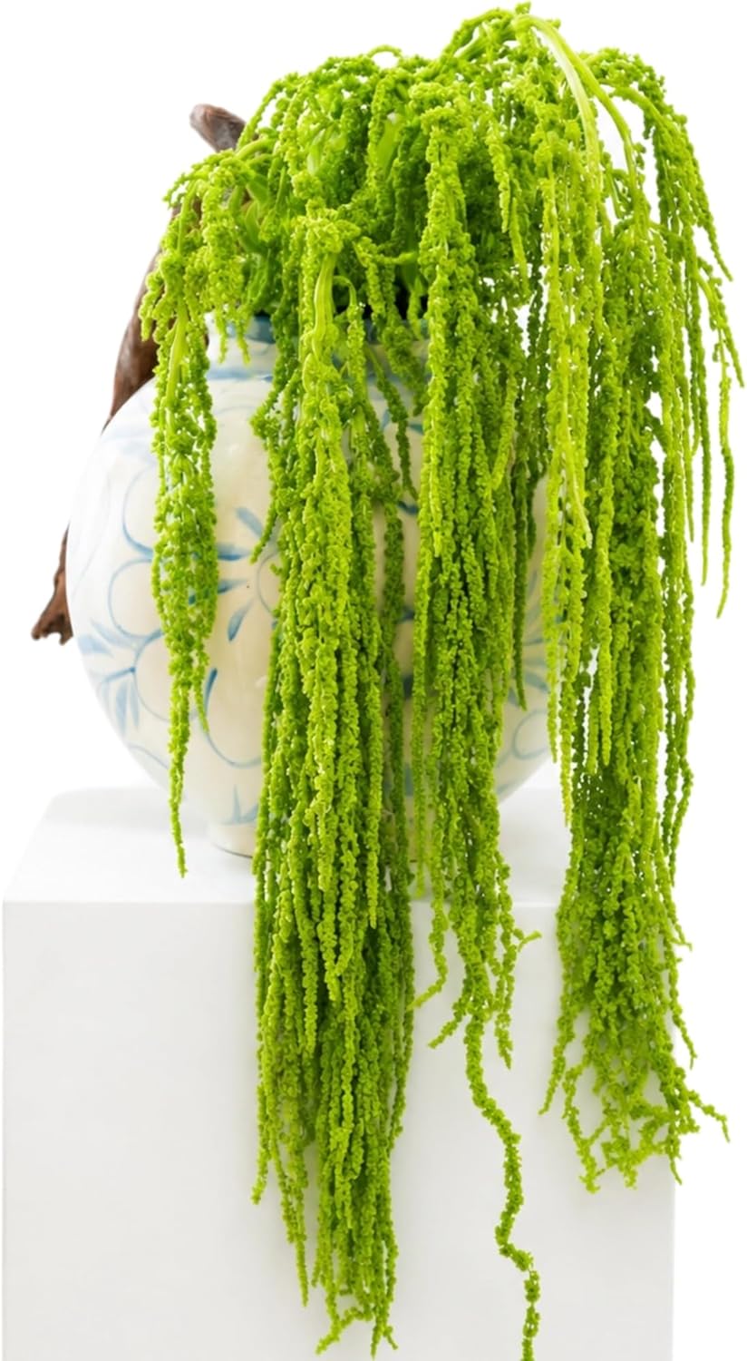 12 Pcs Neon Green Preserved Hanging Amaranthus Flowers - 23" Cascading Dried Flower Tassels for Wedding Arch, Floral Garland, Vase Arrangements & Home Decor