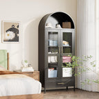 72.83" H Black Metal Arched Cabinet with 1 Drawer,Arched Cabinet with Glass Doors for Home Office Living Room, Assembly Required
