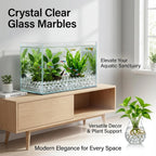 Sukh 190 Pcs Clear Marbles for Vase Filler - Small Round Glass Beads 0.39In Transparent Glass Marbles for Vases,Aquariums,Home Decoration,Games,1LB