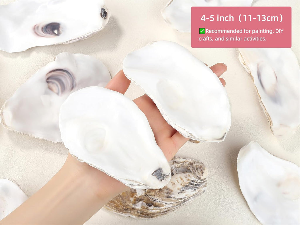 YATOJUZI 4"-5" Oyster Shells 10PCS Natural Oyster Shells for Crafts Vase Fillers Bulk Wholesale DIY Accessories Sea Shells Home Arts Decor Ornaments