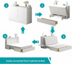 BALUS Queen Murphy Bed, Cabinet Murphy Bed with 2 Storage Drawers-White | USB Charing Station, Spacious Drawer, Space Saving, Queen Bed Frame