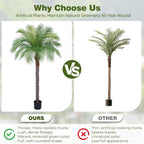 6ft Artificial Phoenix Palm Tree, Faux Coconut Silk Tropical Fake Palm Plant for Indoor Outdoor Home Office Patio Bathroom Pool Coastal Decor(Set of 2)