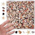 PPCLION 50pcs Tiny Strarfish&2000Pcs Tiny Mini Small Clam Sea Shells for Crafting Spiral for Crafts Charms Home Decorations Candle Decor DIY Fish Tank and Beach Vase Filler