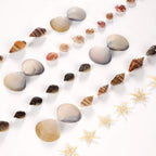 PPCLION 50pcs Tiny Strarfish&2000Pcs Tiny Mini Small Clam Sea Shells for Crafting Spiral for Crafts Charms Home Decorations Candle Decor DIY Fish Tank and Beach Vase Filler